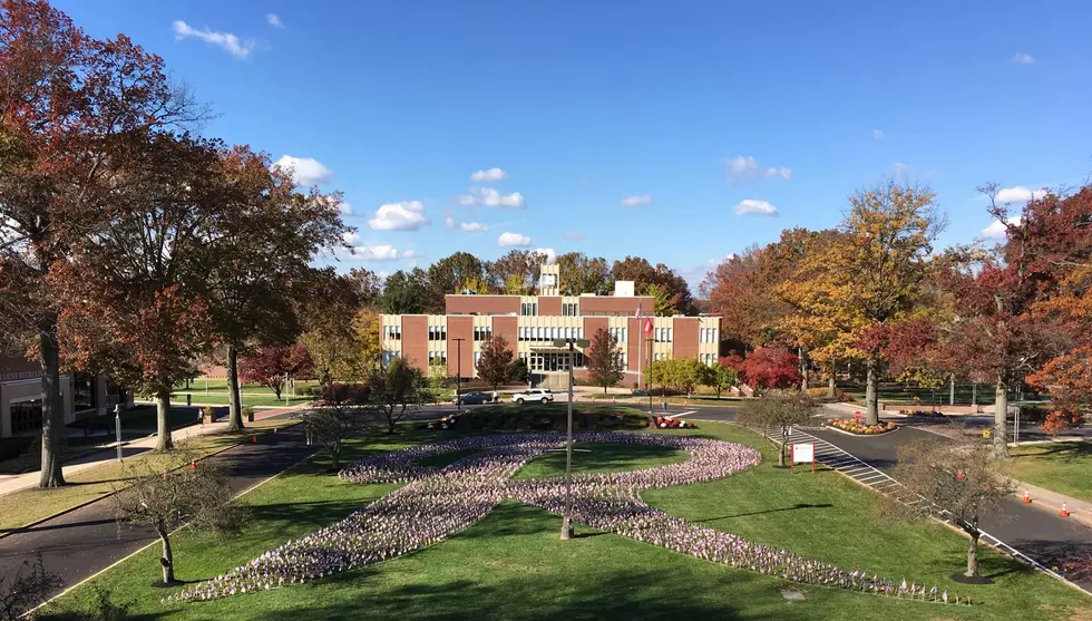 What’s open and closed for Veterans Day in New Jersey