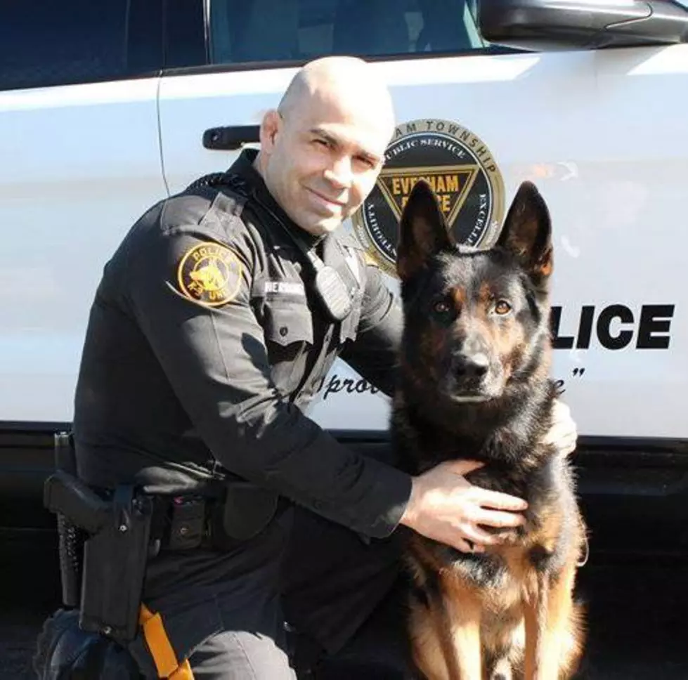 Police dog who once foiled attempt to blow up a gas station dies on Thanksgiving