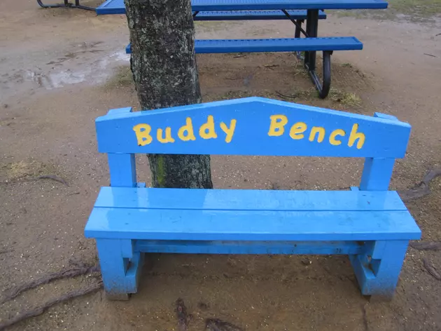 New playground trend in NJ helping lonely students find buddies