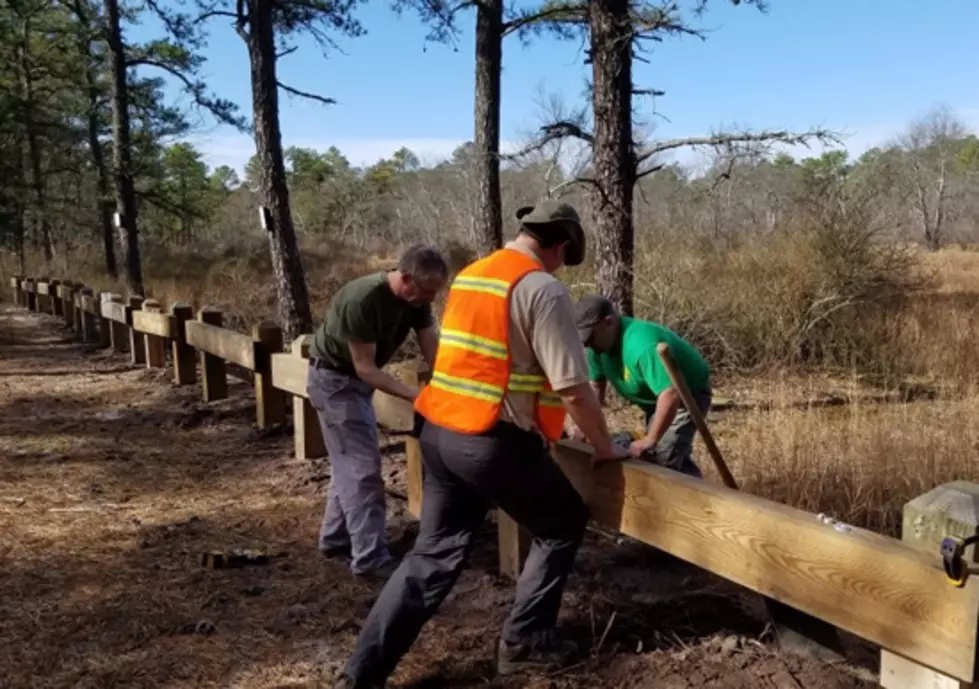 NJ&#8217;s solution for the drivers destroying Wharton State Forest