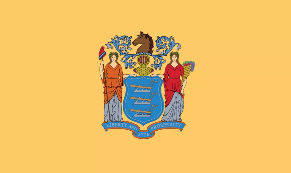 What would you put on the New Jersey flag?