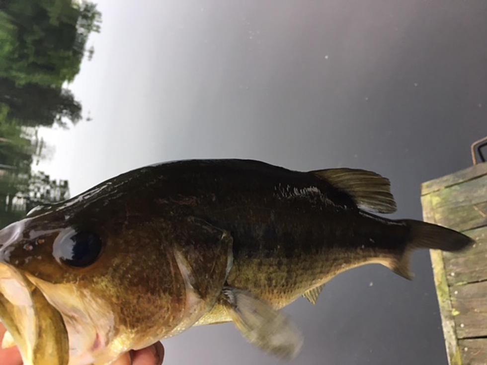 ‘The bass they are a-biting’ — Fishing season is underway in NJ
