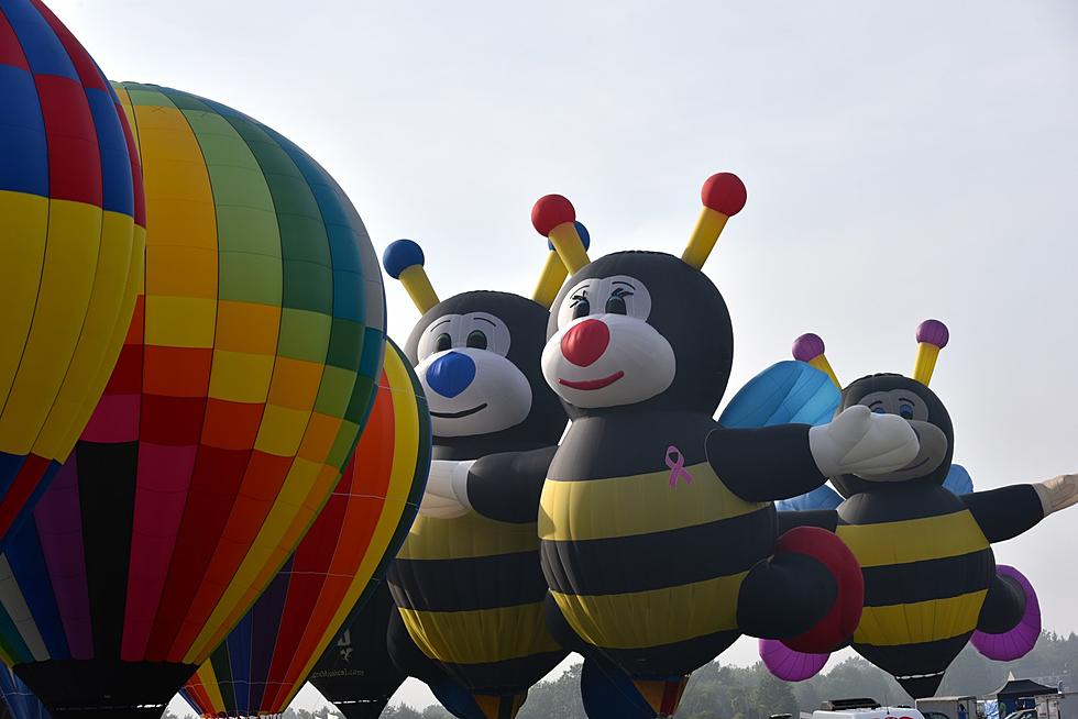 Balloons everywhere — Photos from QuickChek NJ Festival of Ballooning