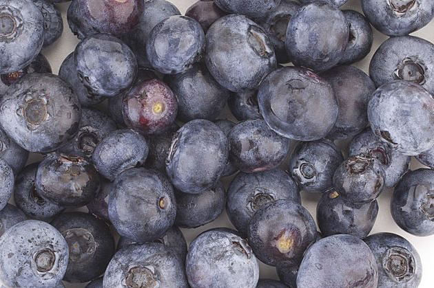 Guide to picking your own blueberries in New Jersey