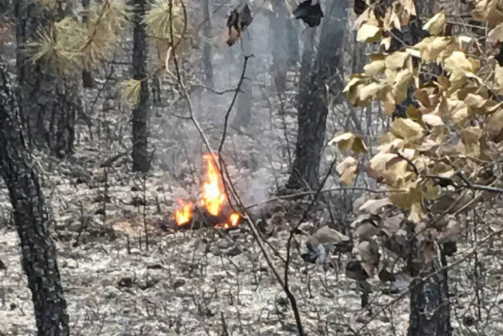 Wharton State Forest fire contained but not under control