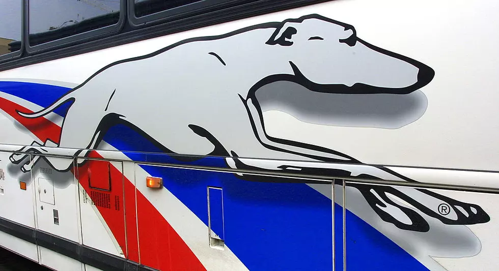 Greyhound bus catches fire on NJ Turnpike