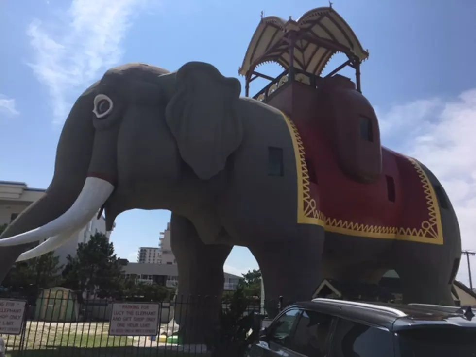 Lucy the Elephant, and group protecting her, still standing tall