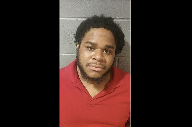 Maryland man confesses to fatally stabbing two Newark sisters visiting family, police say