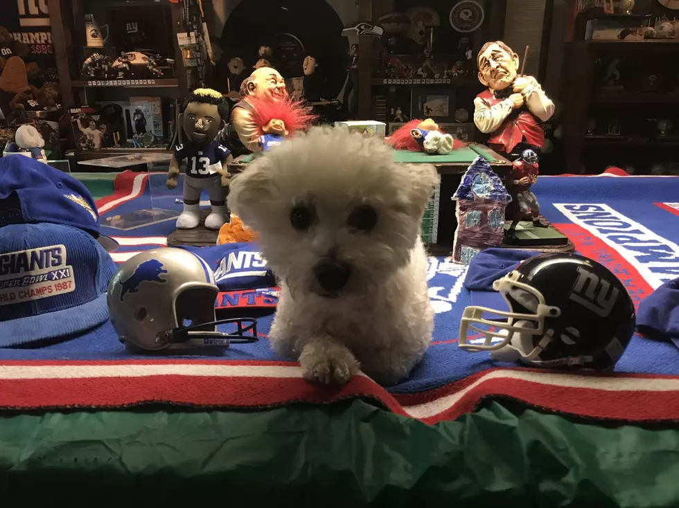 Giants vs. Lions — Fluffy predicts Monday Night Football