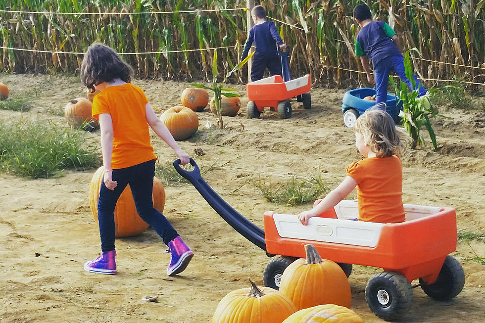 Not spooked by COVID: NJ fall family fun goes on, with precautions