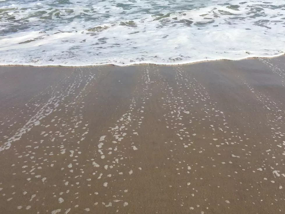 Will NJ Close the Beach? How Water Quality Testing Works