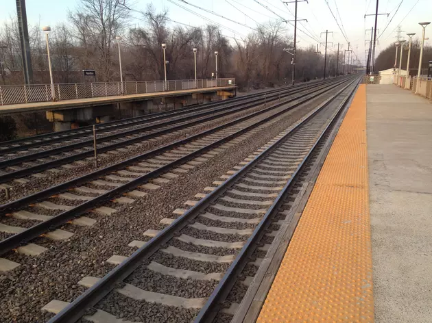 You think raking fall leaves is a pain? Try being NJ Transit