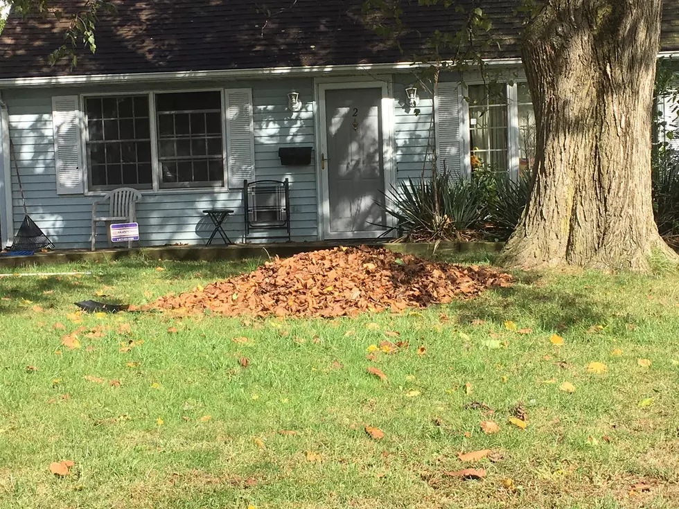 Hey, Garden State — Maybe stop raking those leaves!