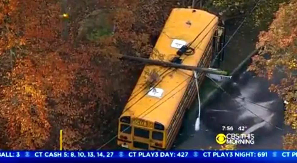 School bus hits utility pole in Livingston