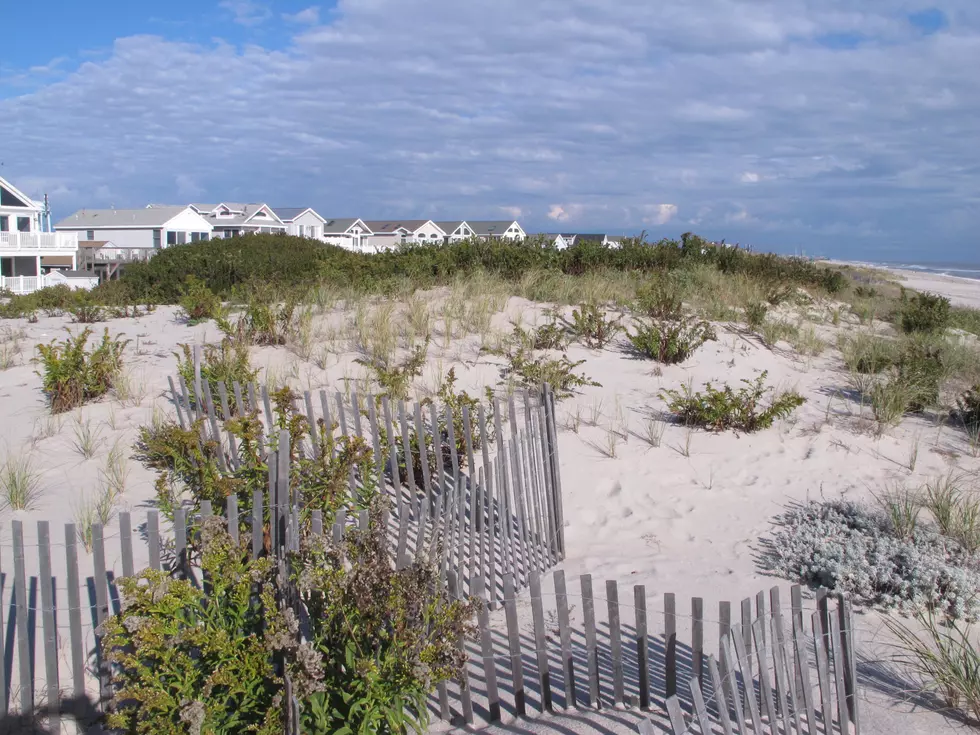 Why NJ beaches are in better shape than other states