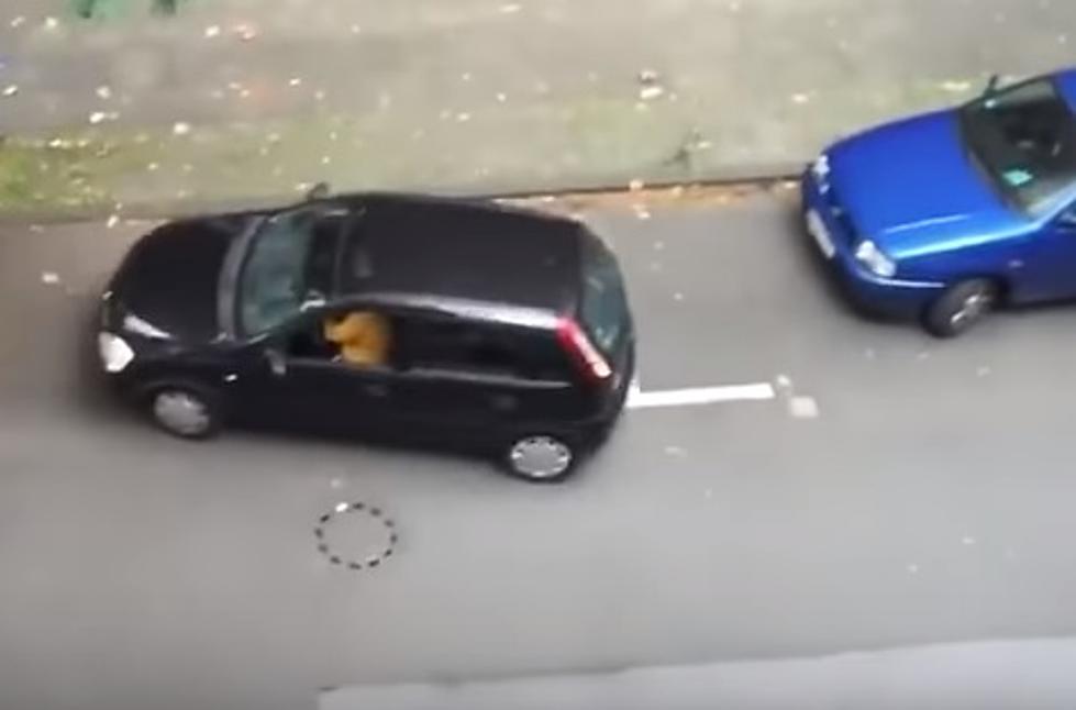 WATCH: Total idiots who can't drive trying to park their cars