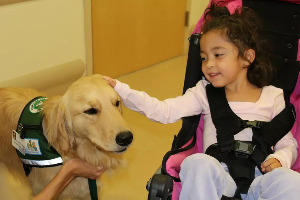 Meet Burton — NJ’s only full-time children’s hospital therapy dog