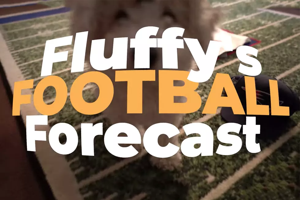 NY Giants vs. Wash. Redskins 10/28 - Fluffy's Football Forecast