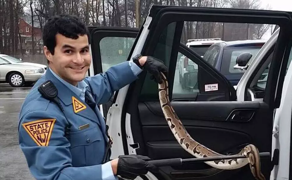 State Police officer handles snake left along Parkway