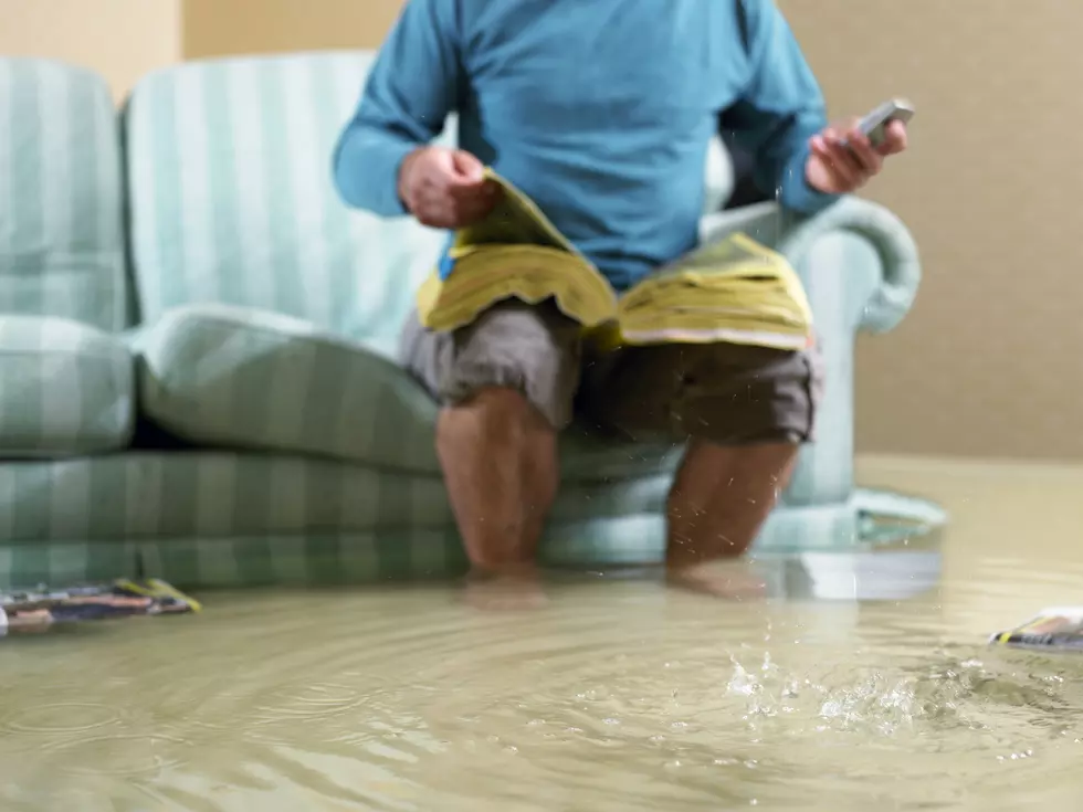 Who in New Jersey HASN'T had a flooded basement?