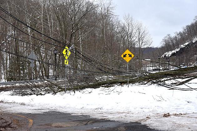NJ utilities may get power to chop trees, whether you like it or not