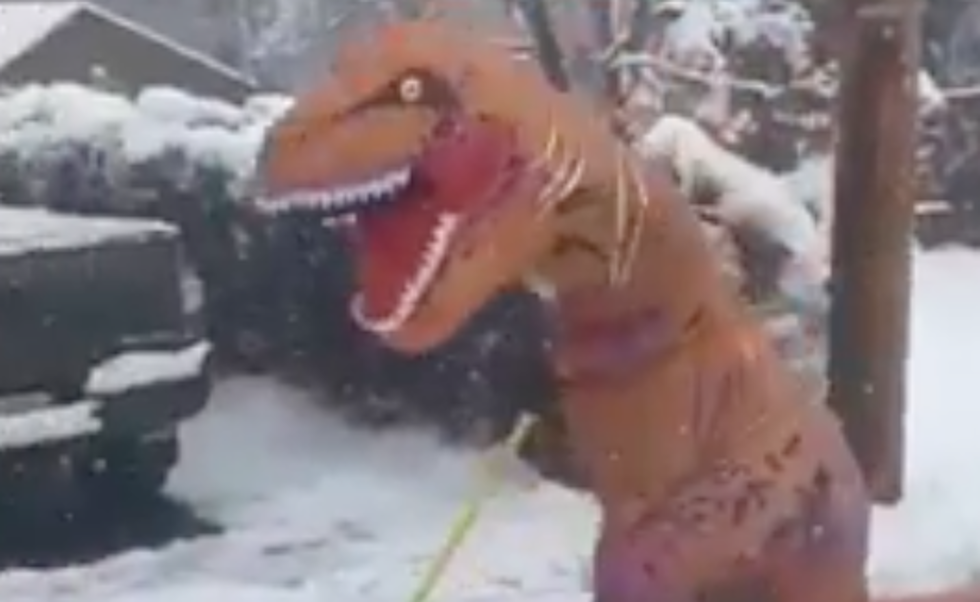 March comes in like a T-Rex in New Jersey — video