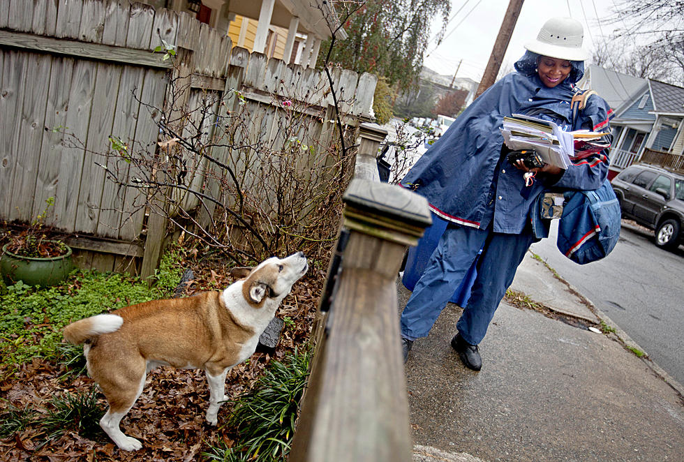 NJ towns where letter carriers get bitten by dogs