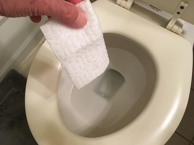 NJ Trying to Pass &#8216;Do Not Flush&#8217; Law for Bathroom Wipes