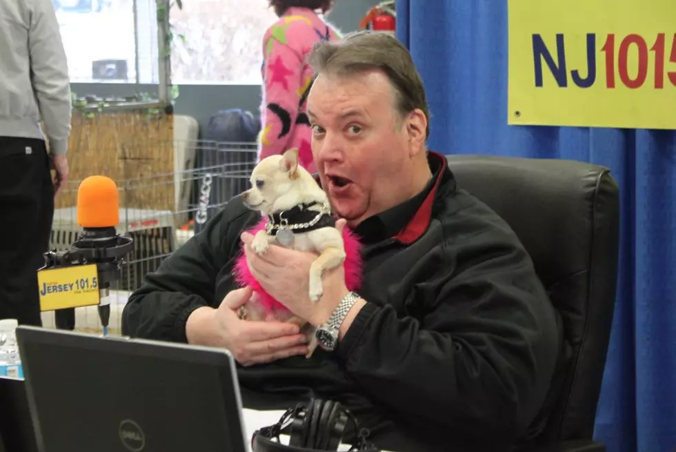 Join Big Joe Henry for the Super Pet Expo — Saturday, April 14, 2018