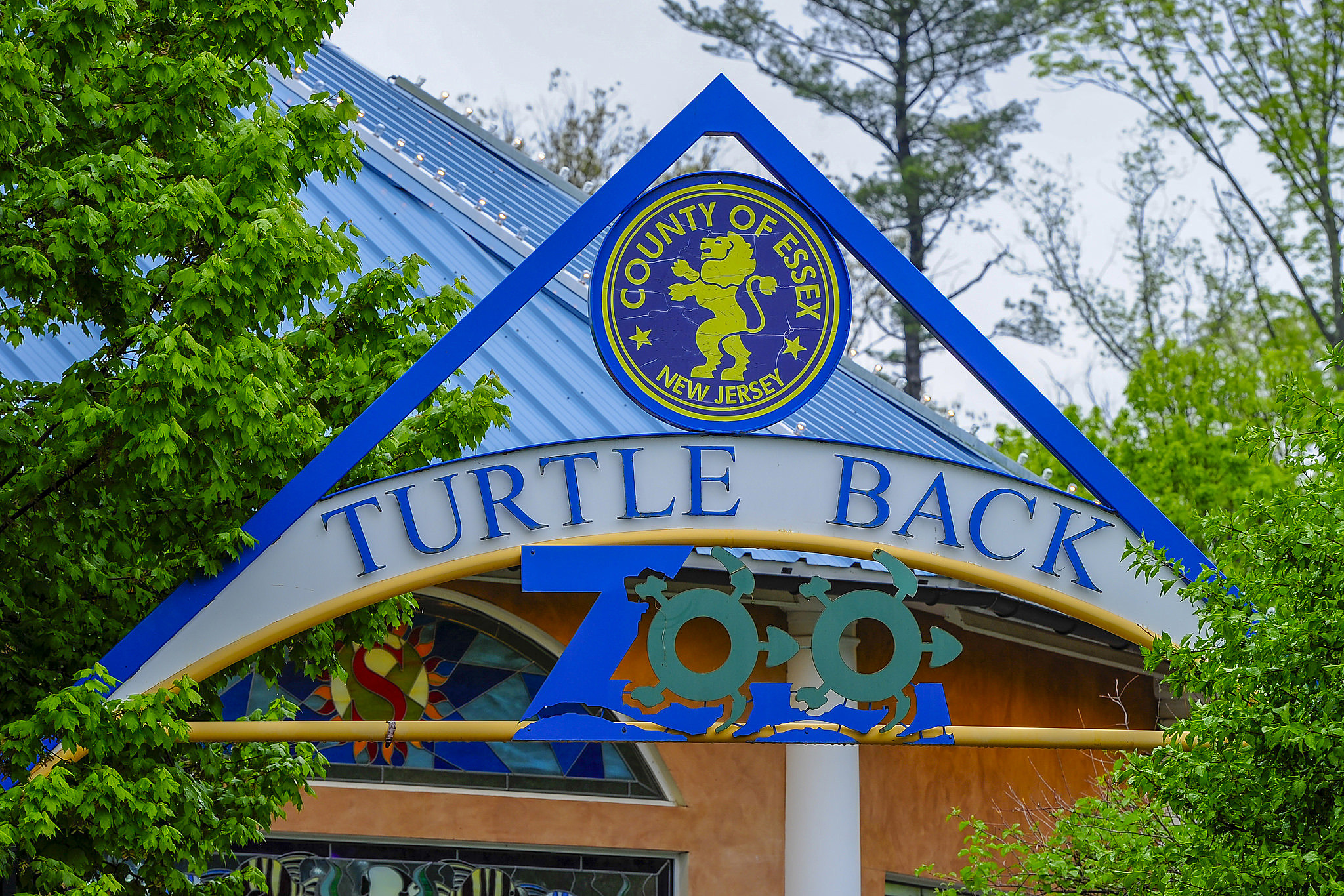 Lady Edwina of Essex makes her weather debut at Turtle Back Zoo