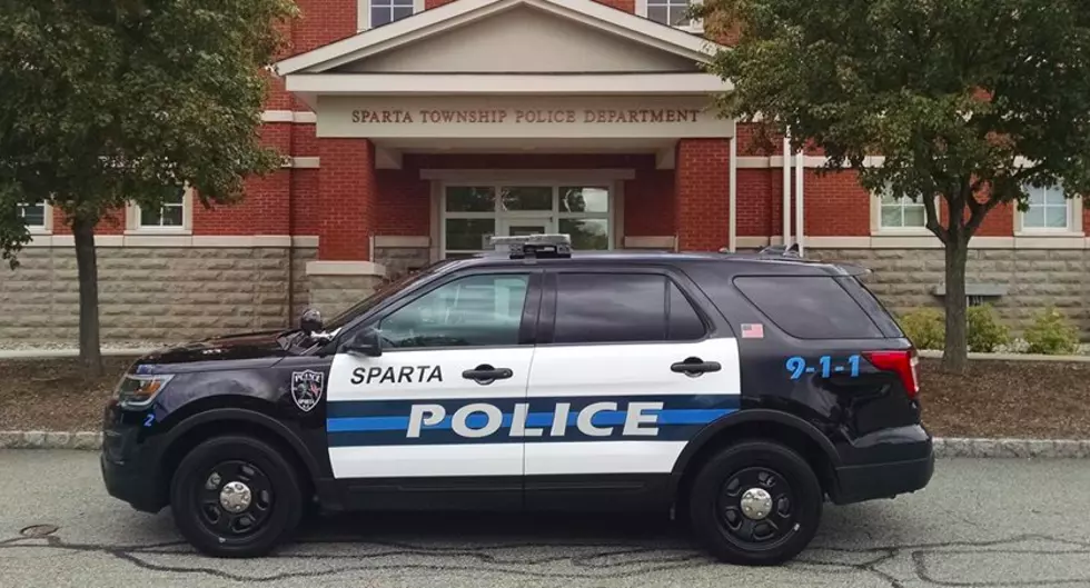 Another dog killed by bear in Sparta, NJ, report says