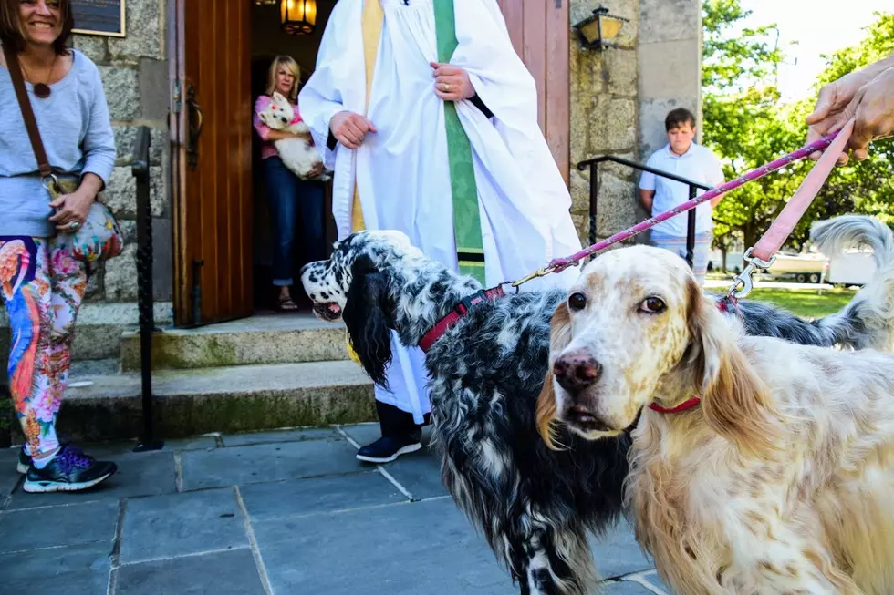A church service in NJ that's for the birds, dogs, cats — any pet
