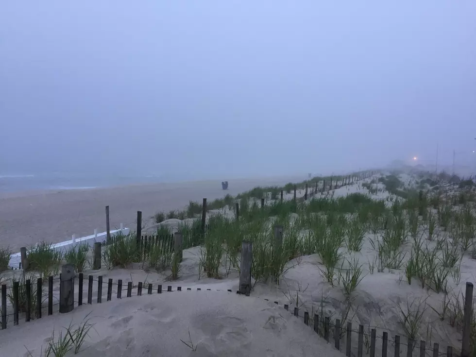 Jersey Shore Report for Saturday, May 23, 2020