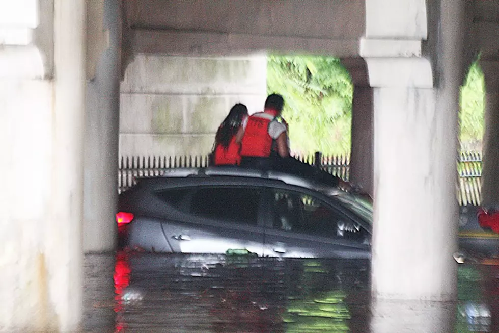 Powerful NJ thunderstorm knocks down trees, brings heavy rain