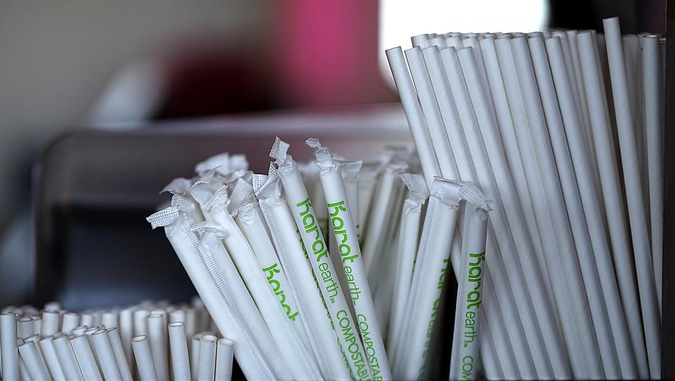 10 weird, eco-friendly plastic straw alternatives you can buy right now
