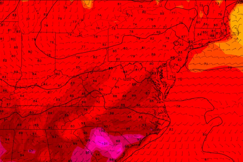 A pleasant, warming forecast for NJ through the weekend