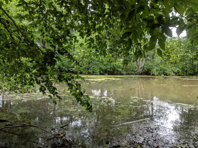 Harmful bacteria keeps Monmouth County lake closed