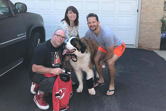 Sussex family helps Facebook celebrate National Dog Day every day