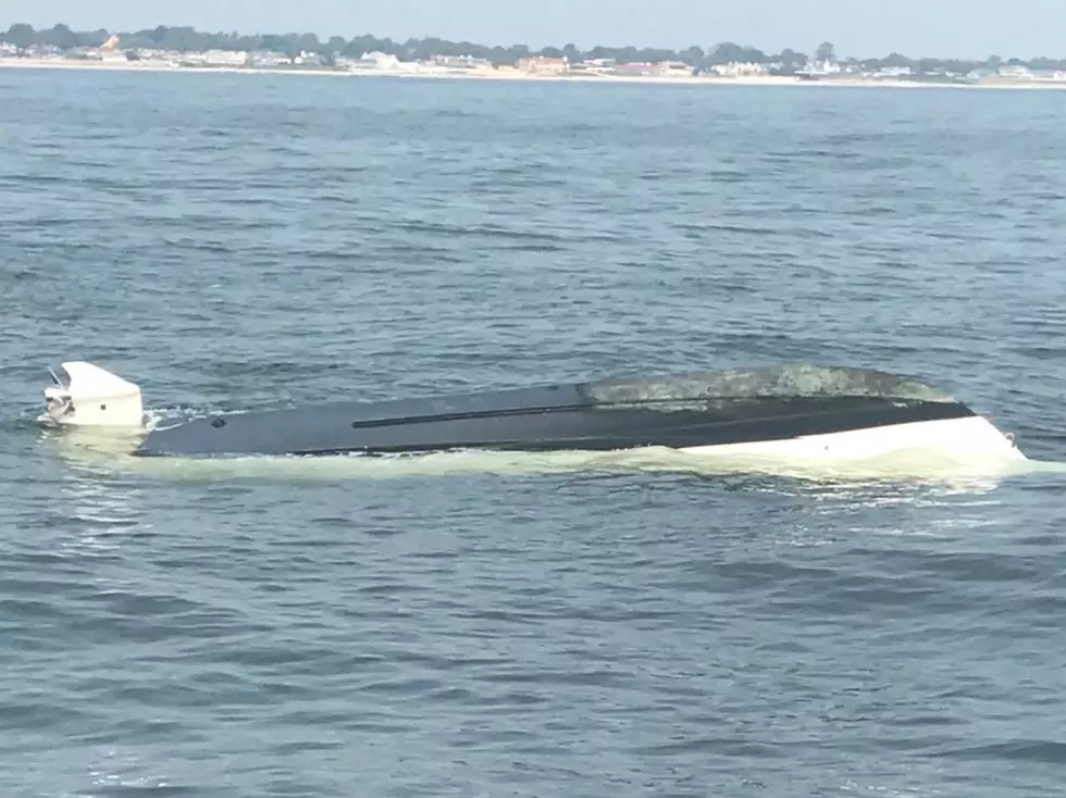 Whale capsizes boat off the coast in Deal, throws trio into ocean