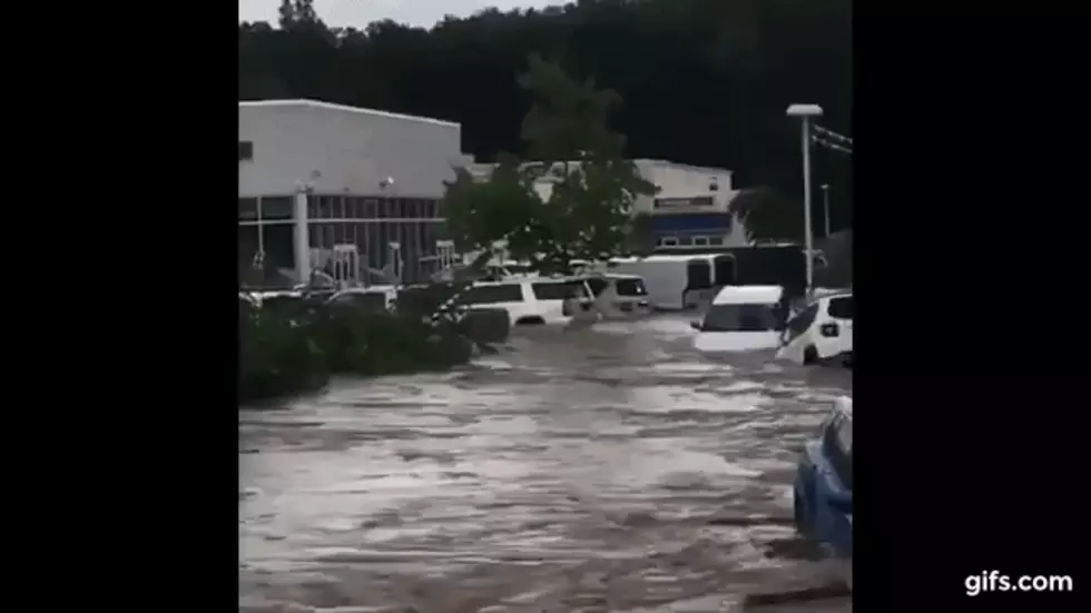 NJ dealership’s cars washed away in tsunami-like flash flood