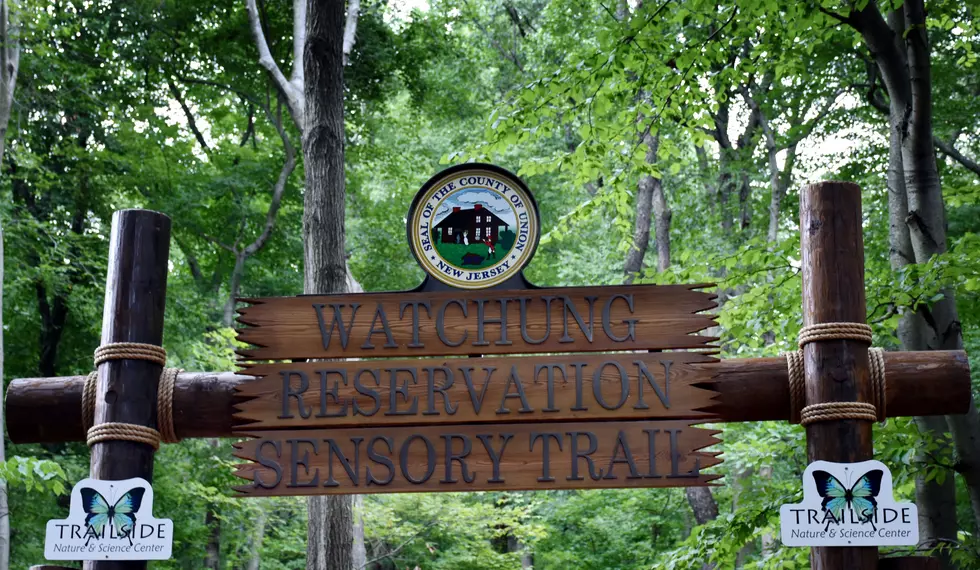 Sensory-friendly Watchung Reservation trail is a first in NJ