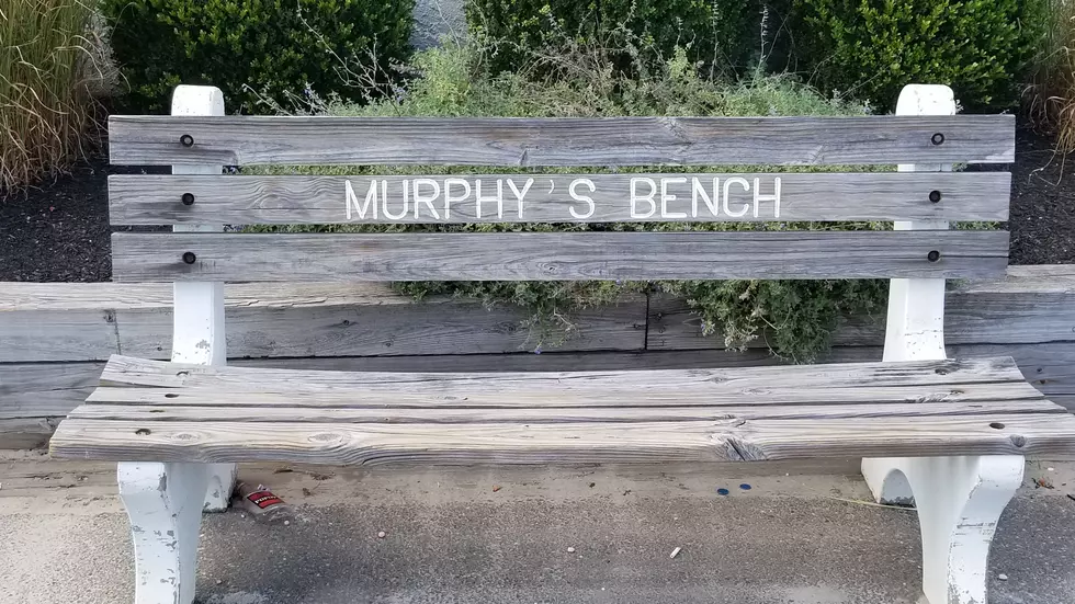What would you write on 'Murphy's Bench?'