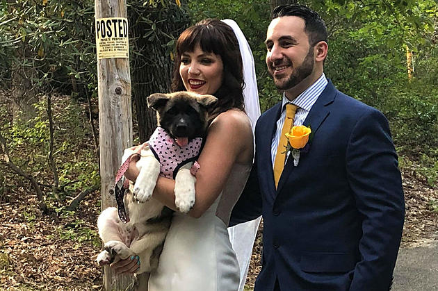 NJ native swaps bouquet for rescue pup on memorable wedding day