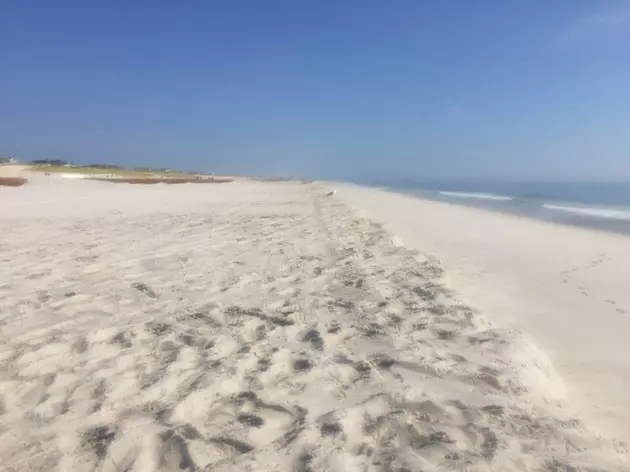 Volunteers Needed to Clean Up Seaside Park Beach
