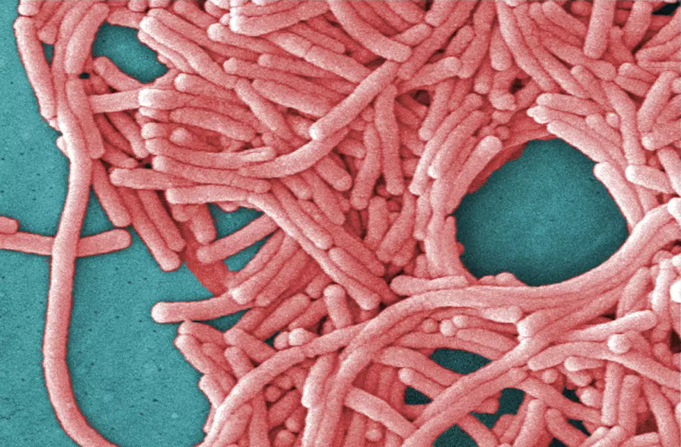 West Orange to kill Legionnaires bacteria, won't close schools