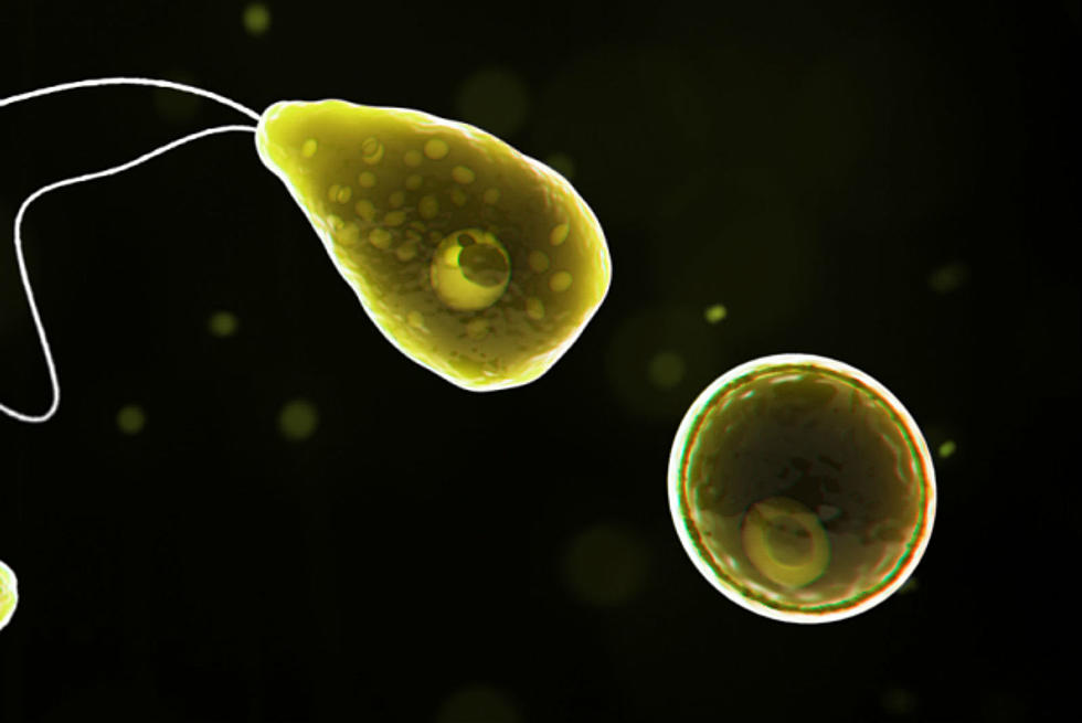 NJ man died after contracting 'brain-eating amoeba'