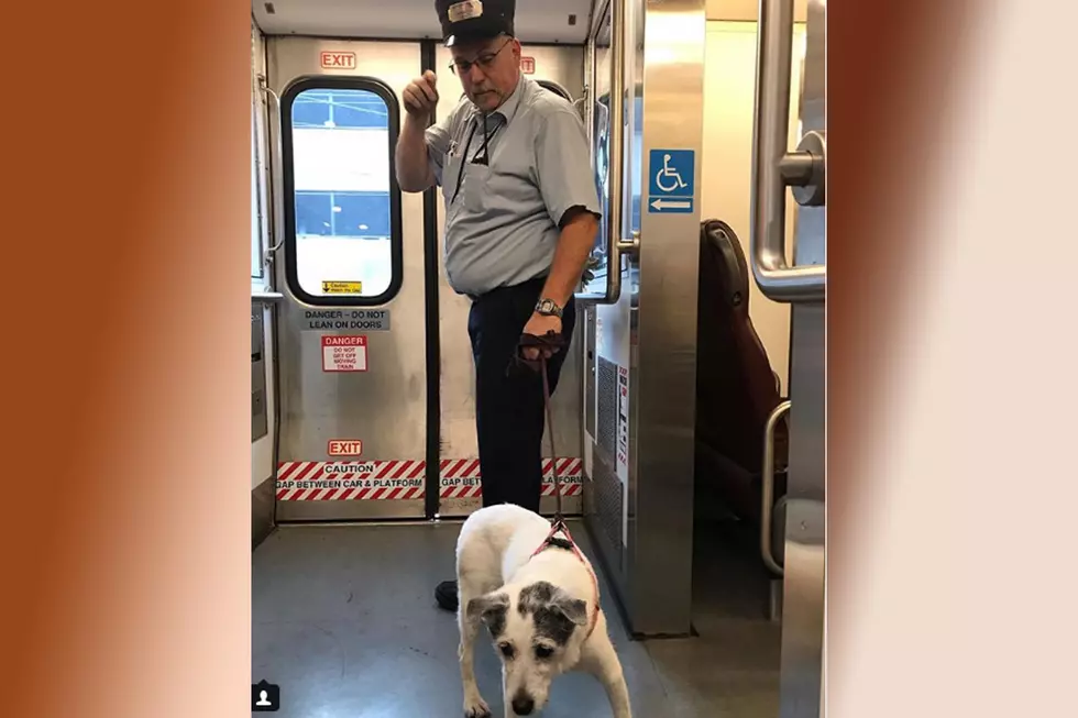 NJ Transit conductor rescued loose dog from train tracks