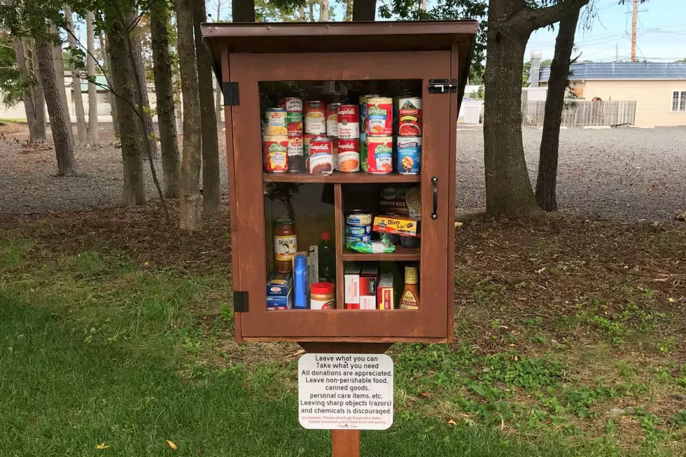 Local Eagle Scout’s ‘Free Little Pantry’ helps people in need