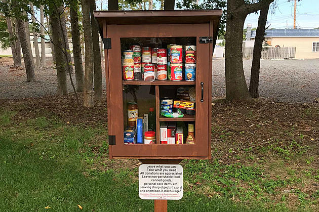 Stafford Township Eagle Scout&#8217;s &#8216;Free Little Pantry&#8217; Helps People in Need