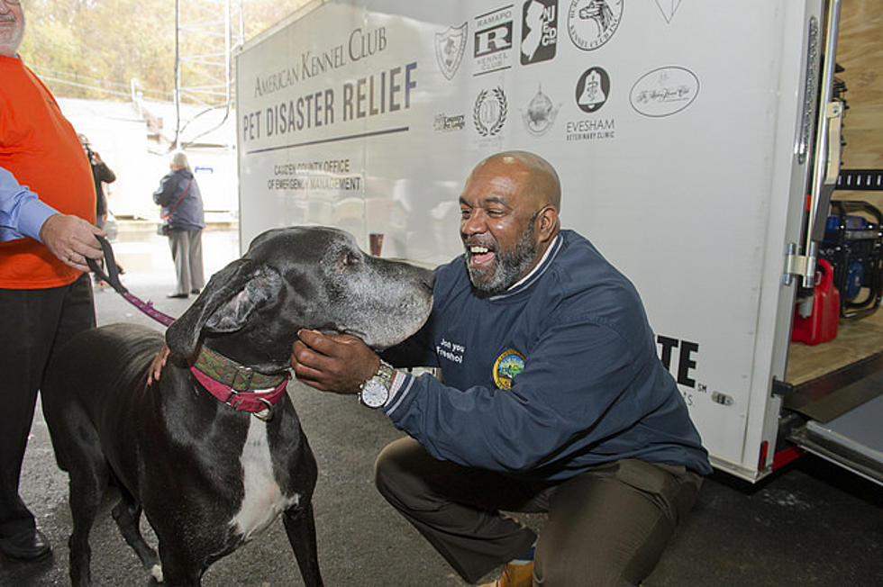 Camden County gets disaster relief trailer for pets